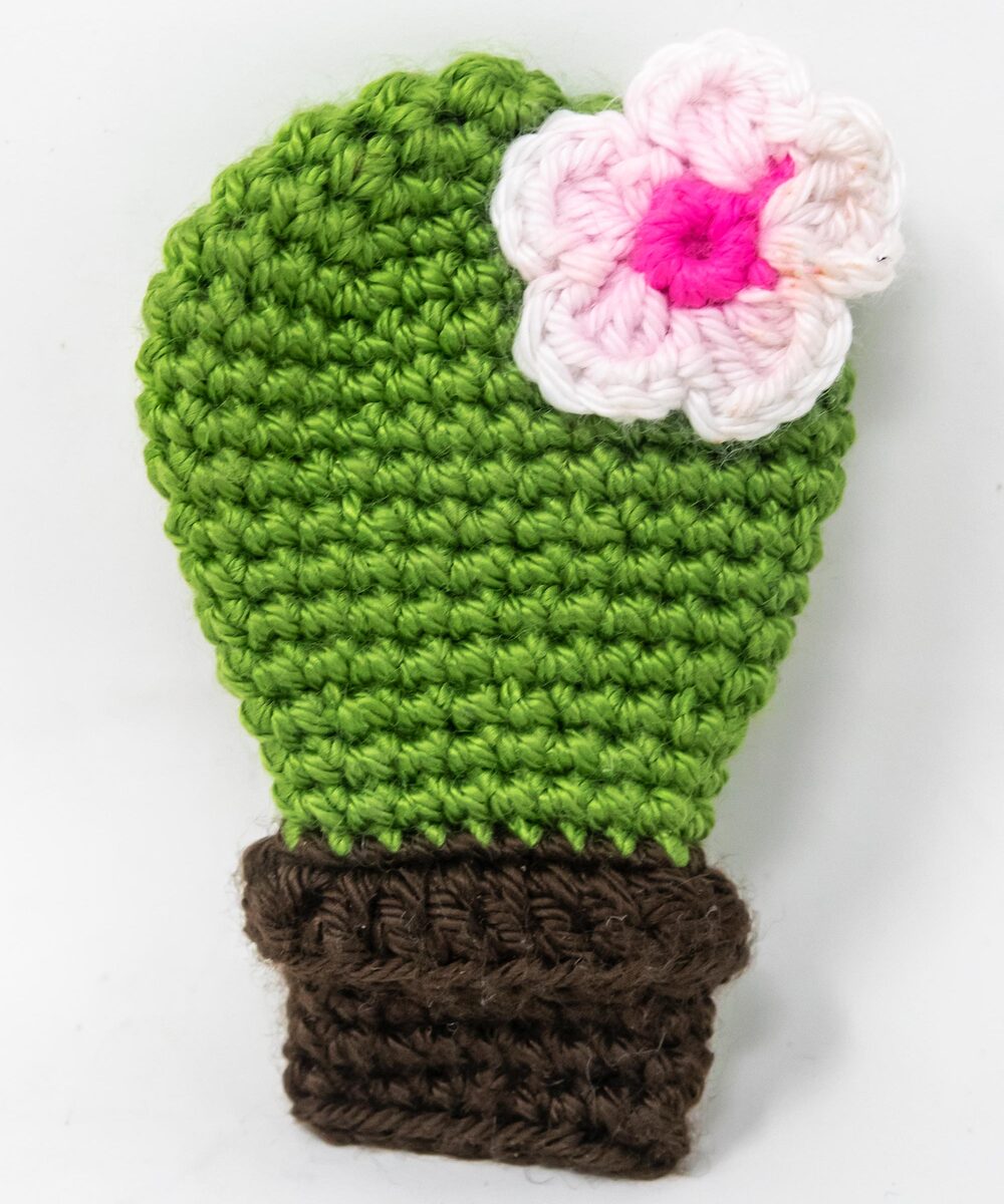Amigurumi Crochet Cactus Brooch